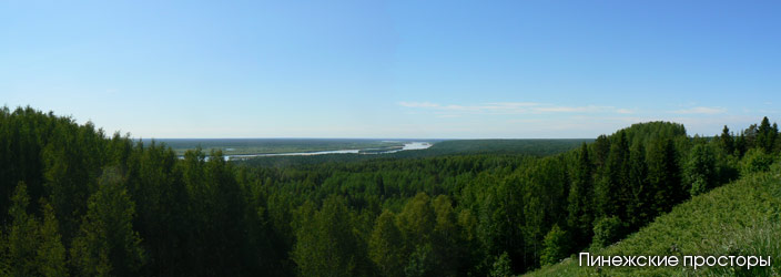 Устьяны - столица Северного меда, пасека в Устьянском районе.